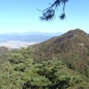 삼기 괴소 이미지