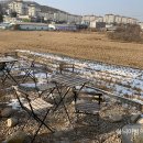 논밭커피 이미지