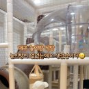 대구축산업협동조합동대구IC점 이미지