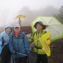 서원동-1 이미지