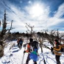 덕이공원 이미지