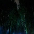 은하수이발관 - 정읍시 서부산업도로 255 | 은하수이발관