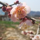 성실농원 이미지