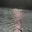 고양이카페38.5 | 떠나요제주도