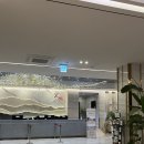 도림국제관광호텔 | 전주 여행 숙소 추천 전주관광 호텔 꽃심 내돈내산 만족 후기