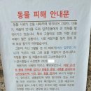 캣맘은 정신병입니다 이미지