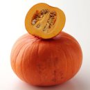 지리산건강원 이미지