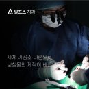 알프스치과기공소 이미지