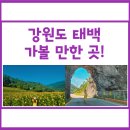 통리장터식당 | 만한 곳 / 구와우마을(고원자생식물원 해바라기 축제), 통리탄탄파크, 철암탄광역사촌, 구문소...