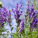 도움약국 이미지