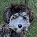 멍펜션13 이미지