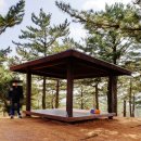 [제주 3박4일] 첫날_1. 무지개렌트카, 에이바우트커피, 한라수목원