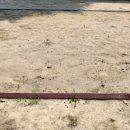 가오초등학교/가오유치원 이미지