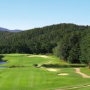 비단지음 이미지