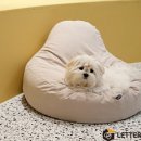 hododog(호도독) 네이버블로그