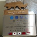 멍스 스쿨 | [수원/권선동] 애견훈련사가 상주하고 있는 강아지유치원 “멍스스쿨” 이용후기