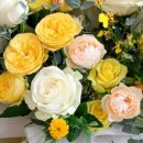 헤르만아트홀 이미지