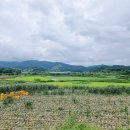 옥천랜드공인중개사사무소 이미지