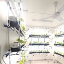 동남태양광발전 2호기 | 🌱 말레이시아 말라카- 딸기 무빙 설치 후기