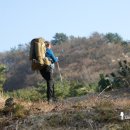 대봉산해안경관산책길 이미지