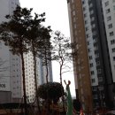 경춘보학2길30 이미지