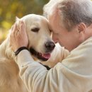 서울앤 동물병원 이미지