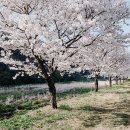 세븐일레븐 영천천문로점 이미지