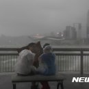 하토 이미지