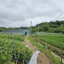 이가네농장 이미지