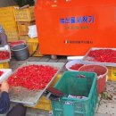 오미자권역센터 이미지