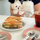 졸리 파이 | [대구/동인동] 애견동반 가능 가오픈 브런치 카페 '레이지 웨이브'