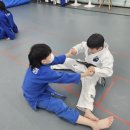 EZ유도관 이미지