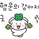 콜마이키친 네이버블로그