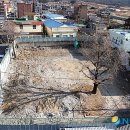 농소1동 주민센터 뉴시스