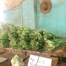 호텔라까사 이미지