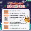 [겨울 빛 축제 추천]전남 함평 겨울밤 빛 축제 (이용요금, 축제시간, 주차, 이벤트, 버스킹 행사 일정...