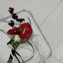 스튜디오우당탕탕