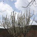 풍경농장 이미지