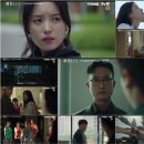 해피니스 티브이데일리