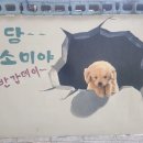 담소미 이미지