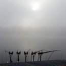 임진강목장 이미지