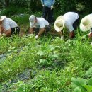 조이농장 이미지