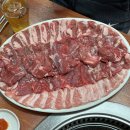 청오돼지들의세상