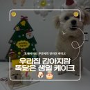 포에버 | [서울/장지동] 포에버퍼피 강아지 주문제작 케이크 후기_반려견 보리수🎂