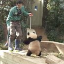 카페 아토 이미지