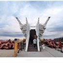 사근진해변 해중공원 이미지