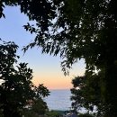 복이네식당 | [남해여행 1일차] 남해다랭이마을 / 복이네 전복죽 / 라움펜션 / 해바라기맛집