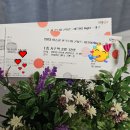 2024 이승철 전국투어 콘서트 Retro Night | 2023.7.29(토)5시 대구 영대 천마 아트센터 이승철 전국투어 콘서트 (RETRO Night) 관람 후기