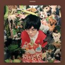 비로소 가을 이미지