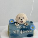 해피댕댕